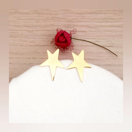 Pendientes Estrella acero