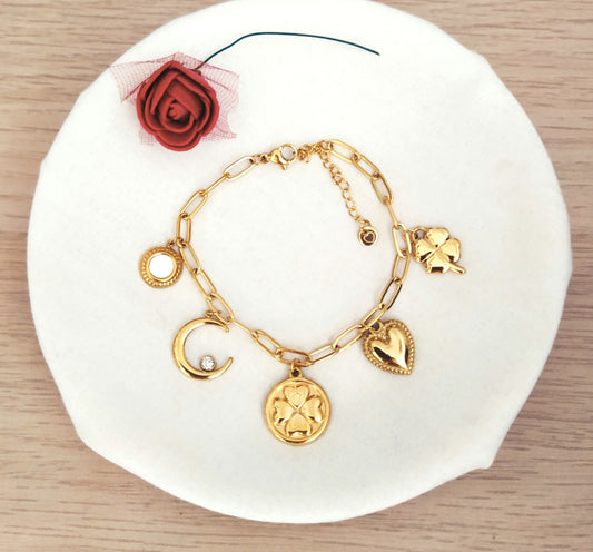 Pulsera Charms de la Suerte acero