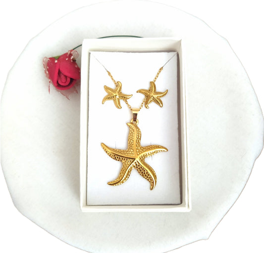 Conjunto Estrella de Mar acero