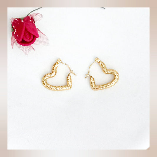 Pendientes Corazón brillante acero